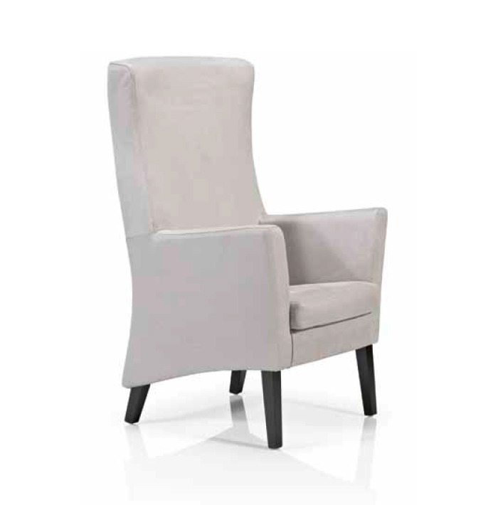 Upholstery and Furniture