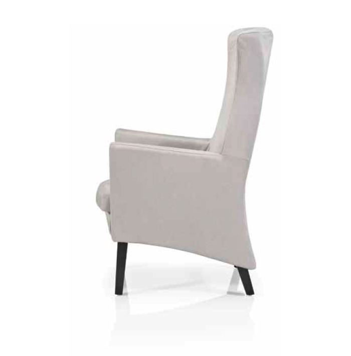 Upholstery and Furniture