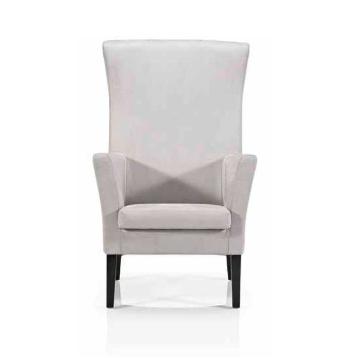 Upholstery and Furniture