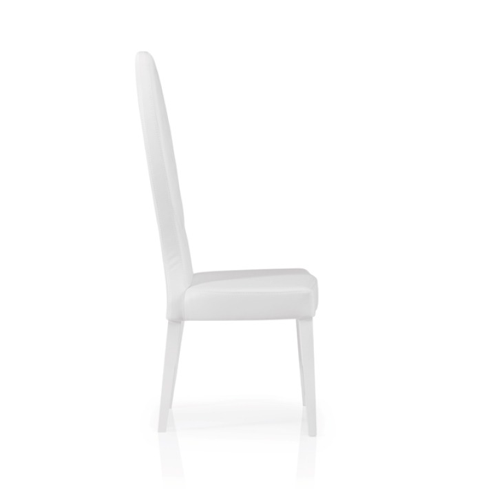 Upholstery and Furniture