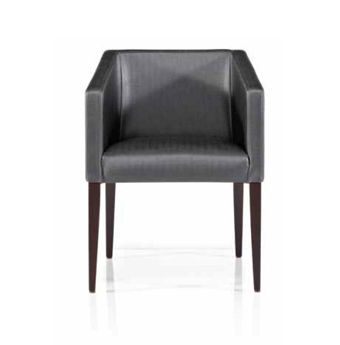 Upholstery and Furniture
