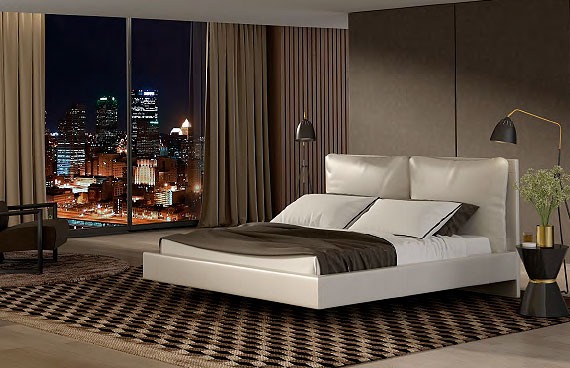 Upholstery and Furniture